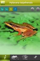 iFrog captura de pantalla 2