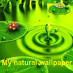 Natural wallpaper