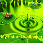 Natural wallpaper icon