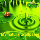 Natural wallpaper Zeichen