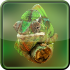 Chameleon Pet иконка