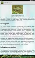 Chameleon Pet скриншот 1