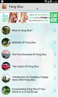 Feng Shui 포스터