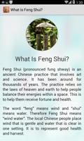 Feng Shui 스크린샷 1