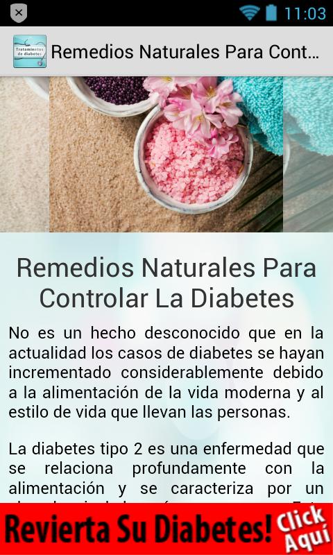 remedios caseros ayurvédicos para controlar la diabetes remedios caseros ayurvédicos para controlar la diabetes