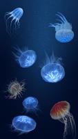 Poster Jellyfish Heaven