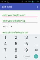 BMI Calc screenshot 2