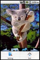Quebra-cabeça Koala imagem de tela 1