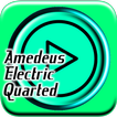 Amadeus Electric Quartet