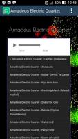 برنامه‌نما Amadeus Electric Quartet عکس از صفحه