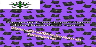 English Hausa Kamus Dictionary