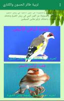 برنامه‌نما تربية طائر الحسون والكناري عکس از صفحه