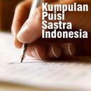 Kumpulan Puisi Penyair Indonesia APK