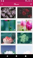 My HD Wallpapers پوسٹر
