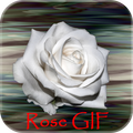 Rose GIF