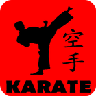 Karate Training ไอคอน
