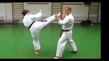 Karate Training ภาพหน้าจอ 1