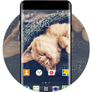 Cute Cat Theme for Karbonn Titanium S99 APK