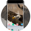 Theme for Karbonn Alfa A91 Champ Eagle Wallpaper