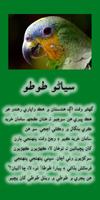 Sindhi Stories for kids پوسٹر