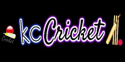 Dream League Cricket 2018 스크린샷 2