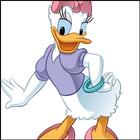 Best Daisy Duck Wallpaper icône
