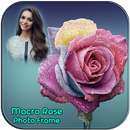 Macro Rose Photo Frames APK