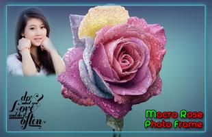 Macro Rose Photo Frames পোস্টার