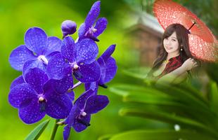 Orchid Photo Frames تصوير الشاشة 1