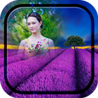 Lavender Photo Frames icon