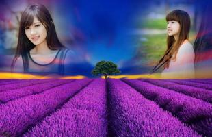 Lavender Photo Frames poster