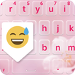 PIP Keyboard