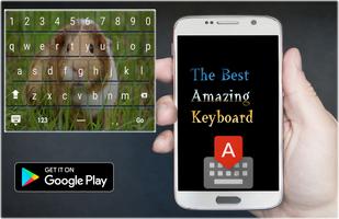 Guinea Pig Keyboard Pro Affiche