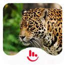 Panther Family Keyboard Theme APK