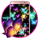Butterfly flying live video theme-APK