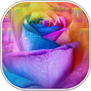 Renkli Gül Klavye APK