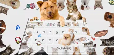 Cute Cat Dog Keyboard