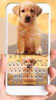 Cute Dog Labrador poster