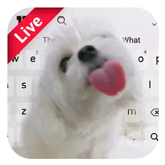 Cute Dog Live Keyboard APK 下載