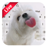 Cute Dog Live Keyboard icon