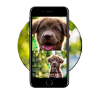 Cute Dog Keyboard icon