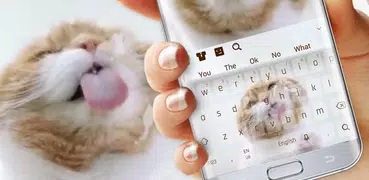 Cute Kitty Live Keyboard