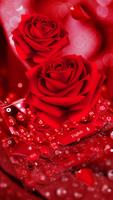 Schöne rote Rosen-Tastatur Plakat