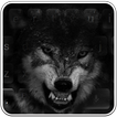 Clavier Black Wolf Wolf
