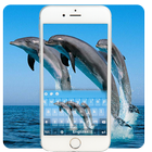 Dolphin Keyboard Theme آئیکن