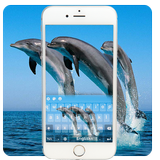 Dolphin Keyboard Theme icône