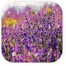 Violet Lavender Flower Theme APK