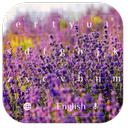 APK Violet Lavender Flower Theme