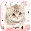 Cute Pink Kitty Cartoon Keyboard Theme