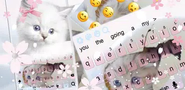 Cute Pink Kitty cat Keyboard